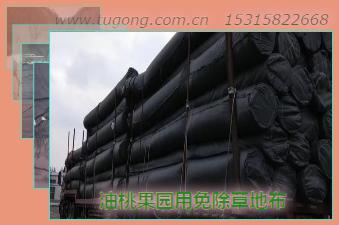 油桃果園用免除草地布